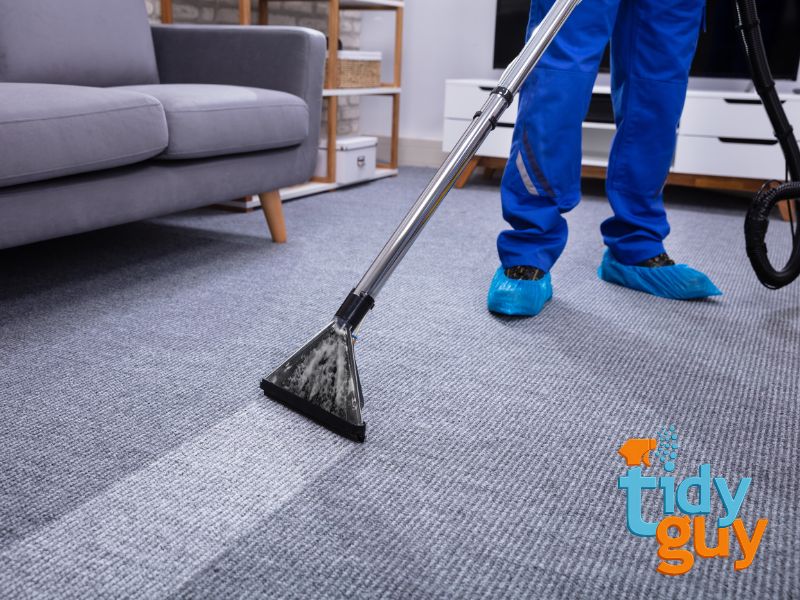 Hiring a True Steam Carpet Cleaning Professional