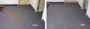 Carpet in a commercial property, on the left showing before and the right after the very low moisture cleaning.