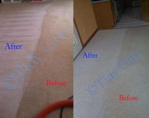 Carpet Cleaning Madison Virginia