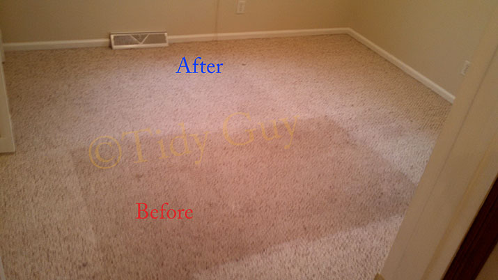 Berber carpet in a residential home where the center is still soiled, but the rest of it has been cleaned.