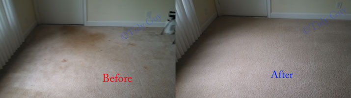 Heavily soiled carpet in an apartment showing how it looked like before and after the very low moisture cleaning.
