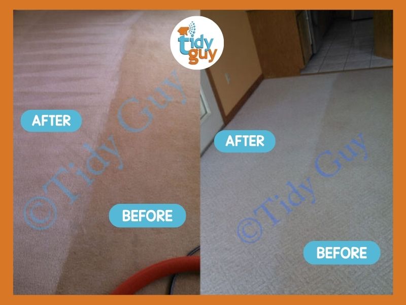 Carpet Cleaning in Madison VA