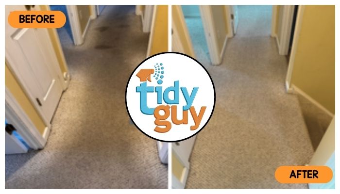 Hallway carpet cleaning by Tidy Guy