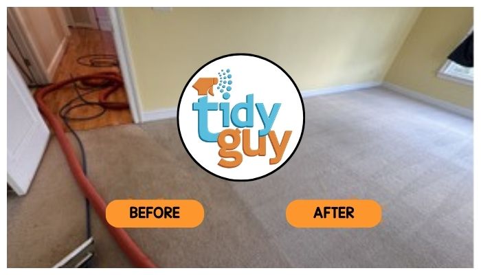 dirty carpet before and after cleaning by Tidy Guy 2