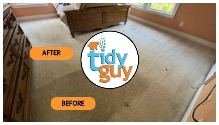 dirty carpet before and after cleaning by Tidy Guy 3