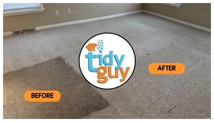 dirty carpet before and after cleaning by Tidy Guy