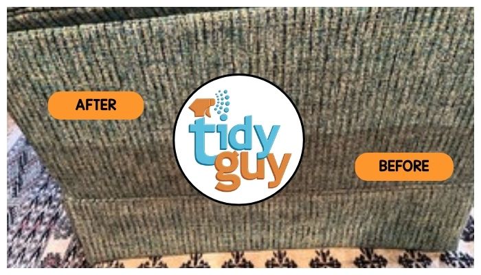 upholstery before and after cleaning by Tidy Guy 1