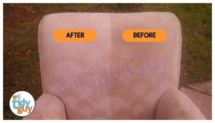 upholstery cleaning by Tidy Guy 3